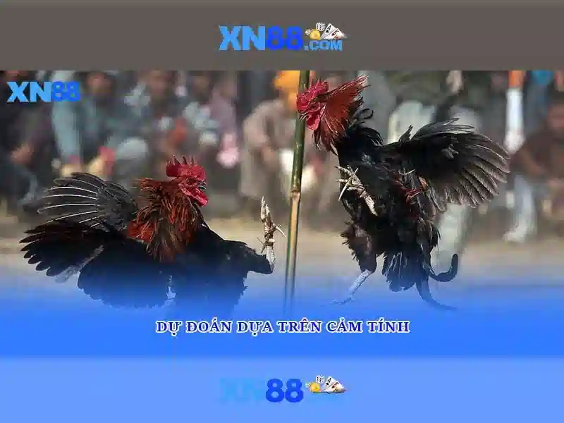 💎ainsworth slots online💎 💎ainsworth slots online💎