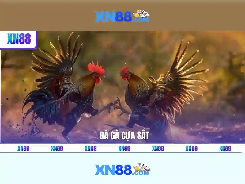 💎kinh nghiệm cá cược esport fun88💎 💎kinh nghiệm cá cược esport fun88💎