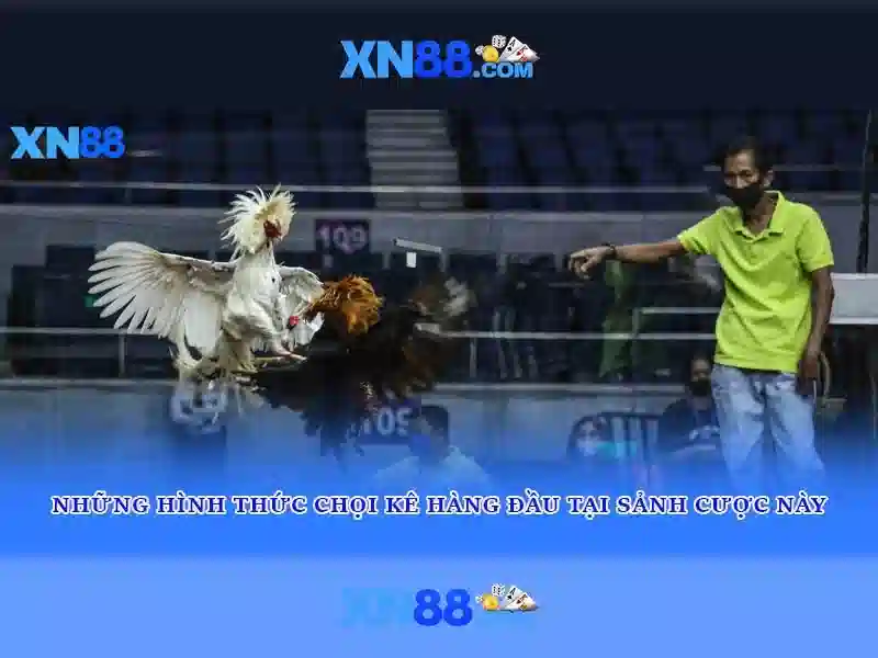 💎meerkat mayhem slot💎 💎meerkat mayhem slot💎