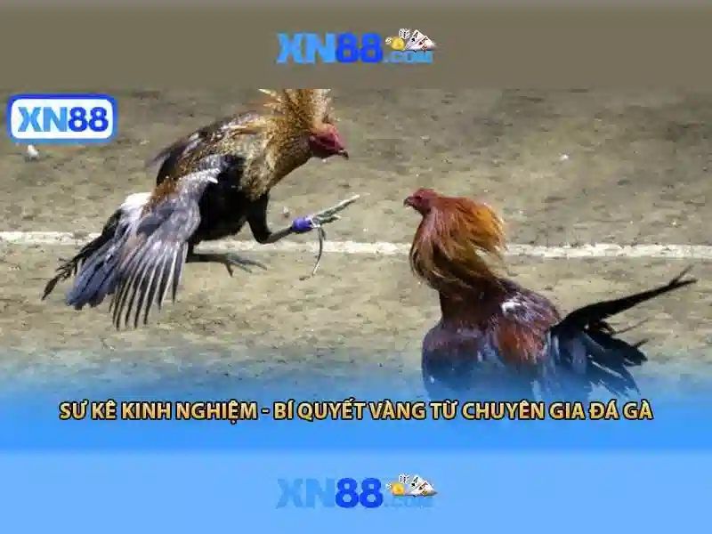 💎69.vn hb88💎 💎69.vn hb88💎