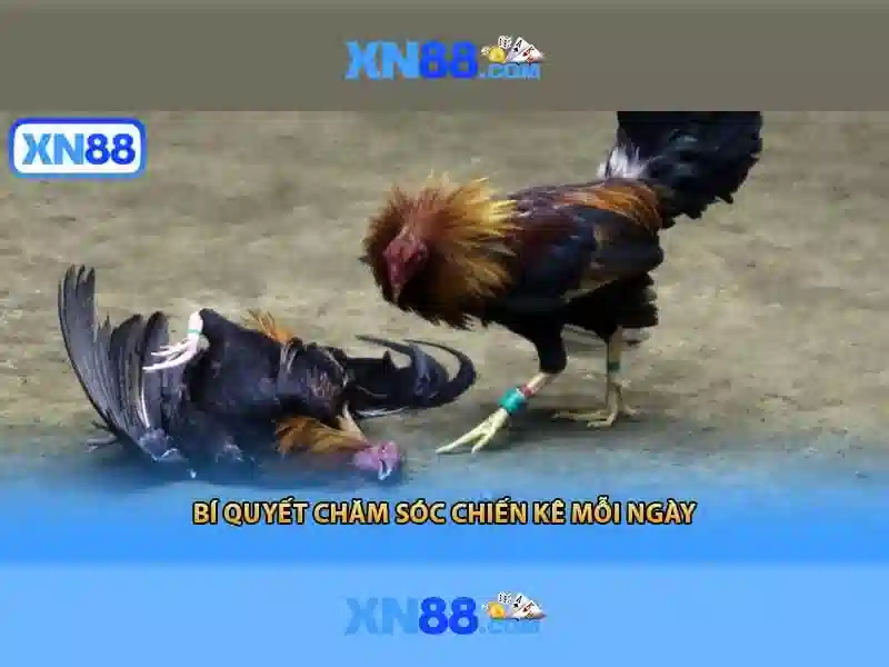 XN88 – Trải Nghiệm Đỉnh Cao Với Game Slot Hấp Dẫn - xn88 XN88 – Trải Nghiệm Đỉnh Cao Với Game Slot Hấp Dẫn - xn88