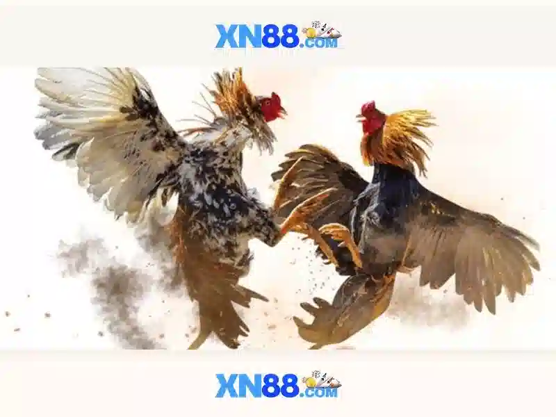 💎xn88 - casino uy tín thành phố hồ chí minh💎 💎xn88 - casino uy tín thành phố hồ chí minh💎