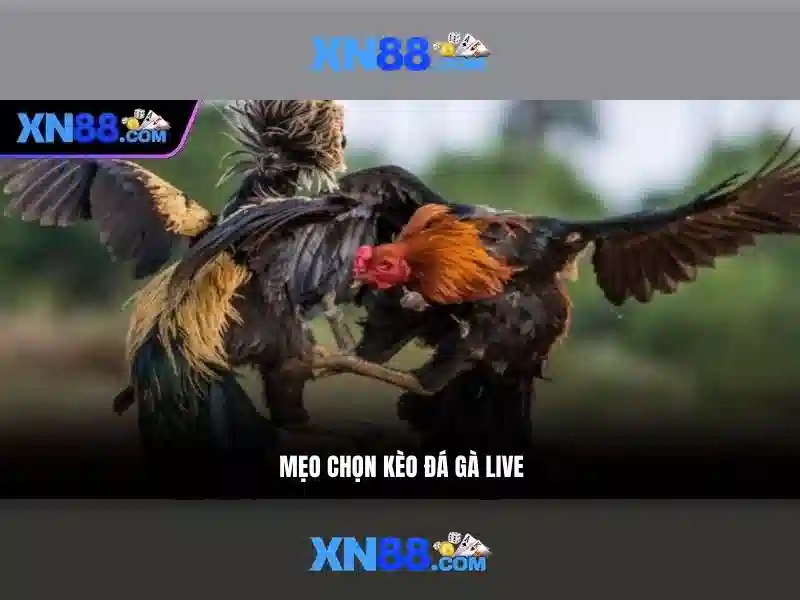 💎888 slot page💎 💎888 slot page💎