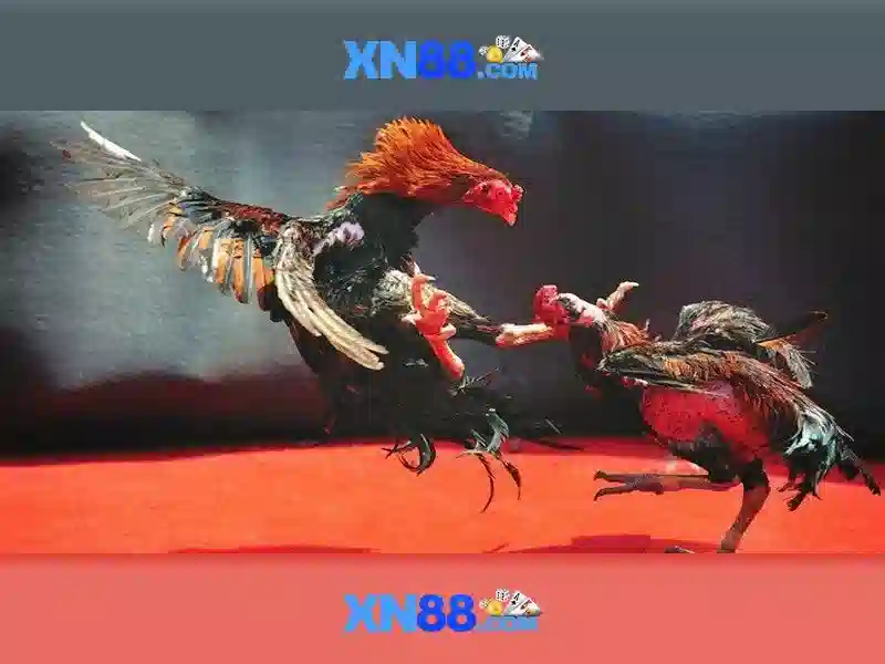 💎xn88 slot sign new players💎 💎xn88 slot sign new players💎