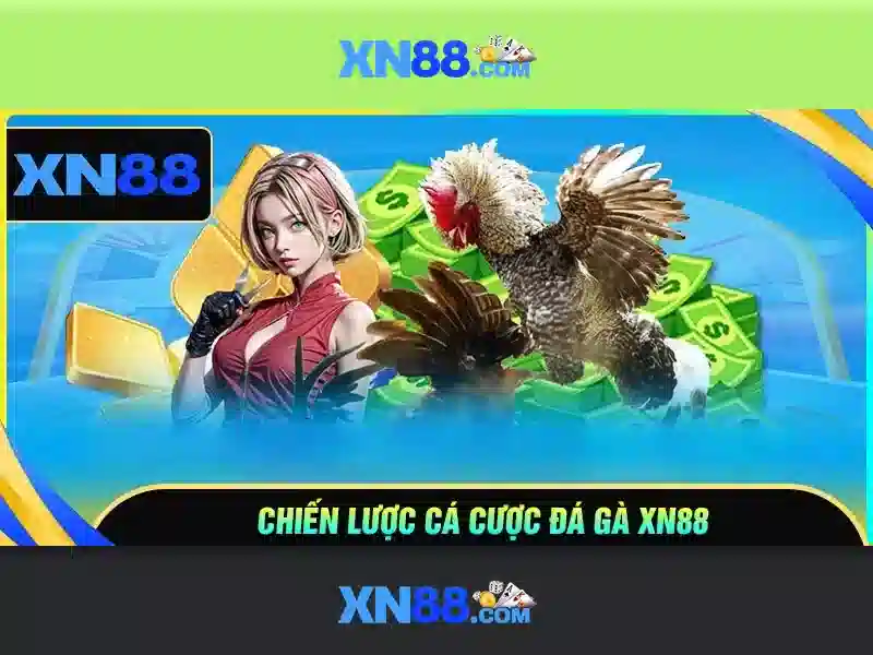 💎cá cược cá cược 888 slot💎 💎cá cược cá cược 888 slot💎
