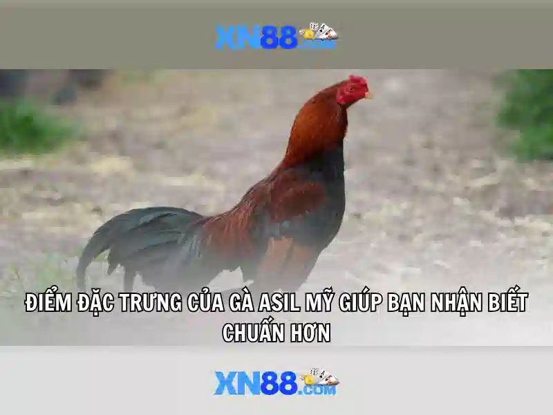 💎truyện bắc minh dạ và danh khả💎 💎truyện bắc minh dạ và danh khả💎