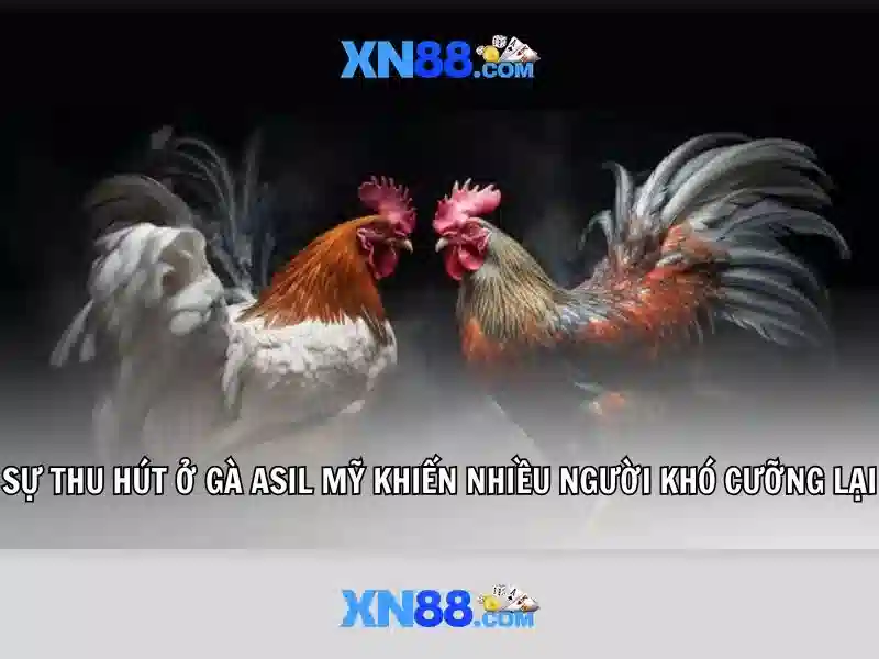 💎app cá cược bóng đá aufop💎 💎app cá cược bóng đá aufop💎