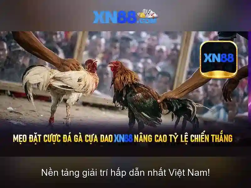 💎nhà cái i9bet💎 💎nhà cái i9bet💎