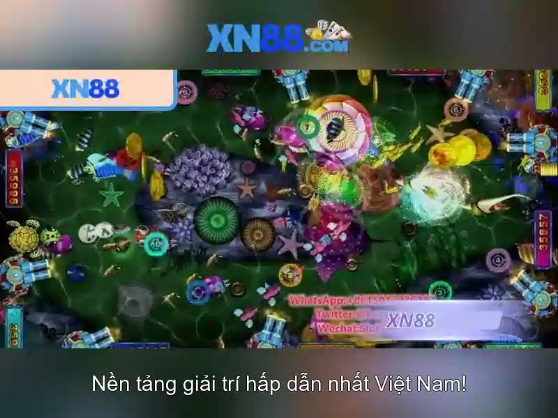 💎trang cá cược uy tin ektomorf💎 💎trang cá cược uy tin ektomorf💎