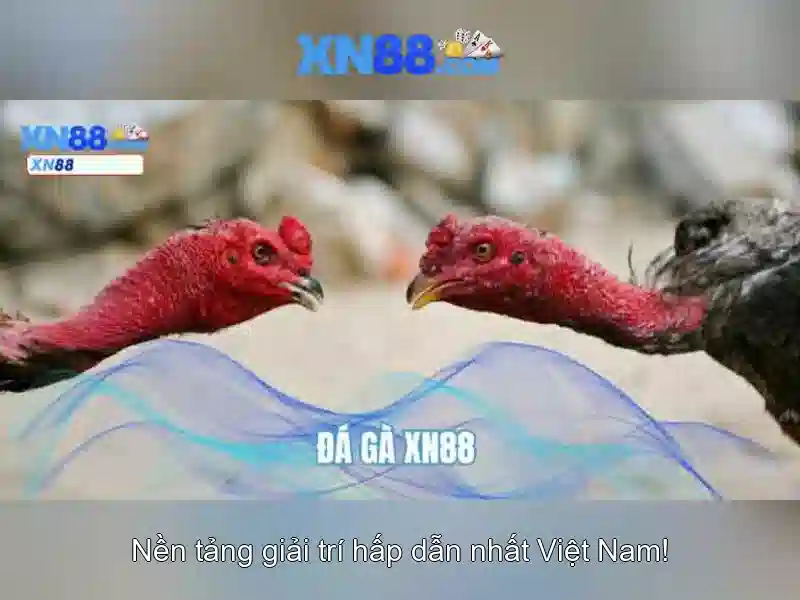 💎7 accessory slots terraria💎 💎7 accessory slots terraria💎