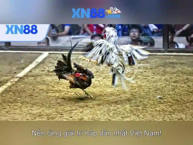 💎diep vien 007 song bac hoang gia full hd💎 💎diep vien 007 song bac hoang gia full hd💎