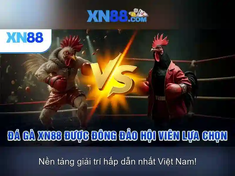 💎trang bóng đá nhà cái💎 💎trang bóng đá nhà cái💎