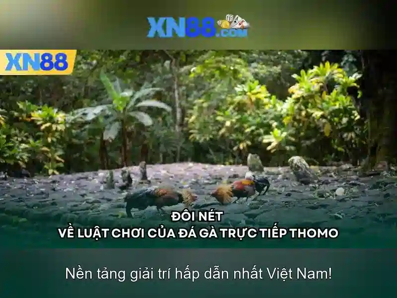 💎keo nha cai man utd💎 💎keo nha cai man utd💎