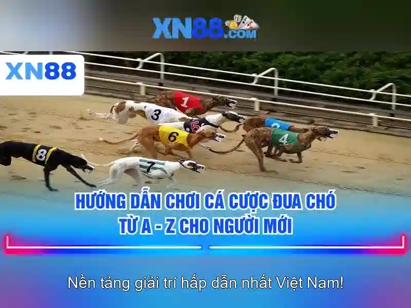 Kèo Châu Á - xn88 Kèo Châu Á - xn88