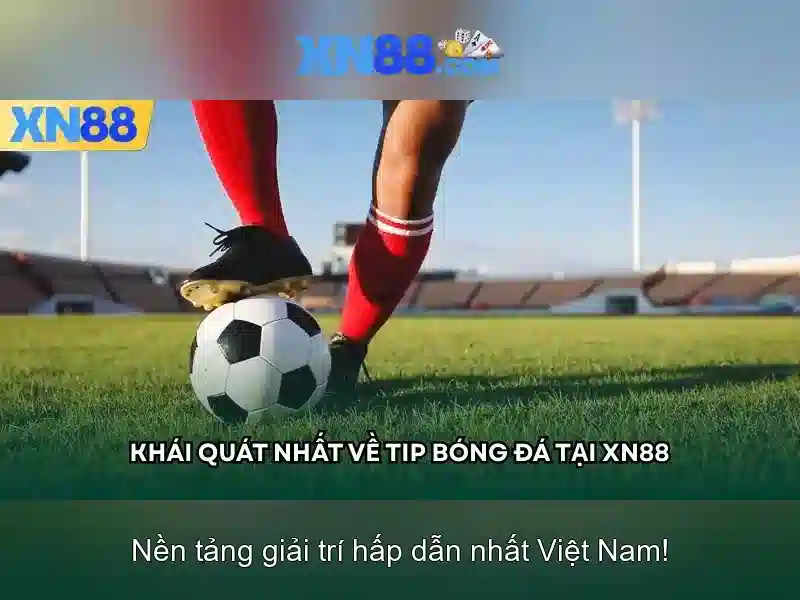 💎trang cá cược online blckvc💎 💎trang cá cược online blckvc💎