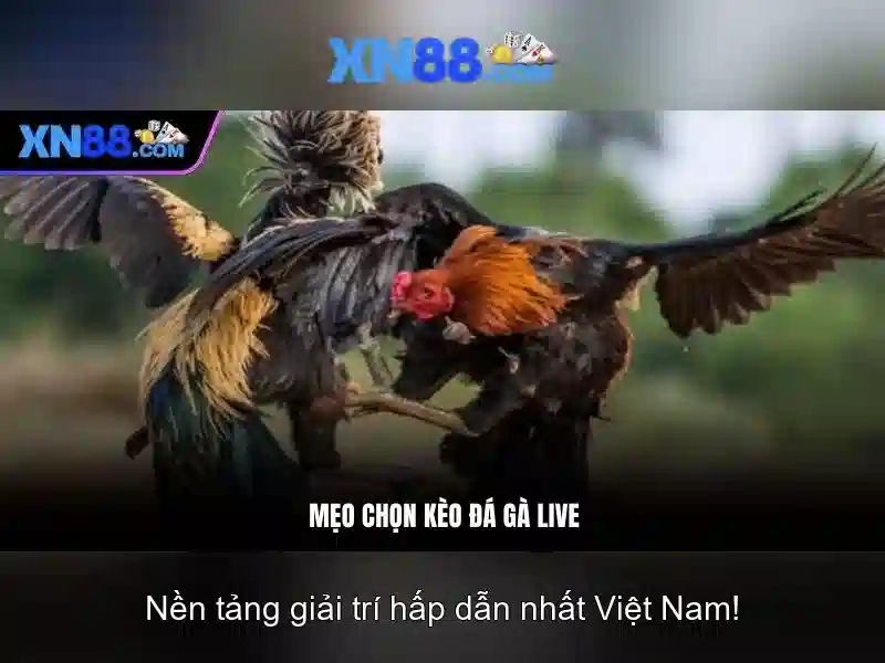 💎trang web kèo nhà cái💎 💎trang web kèo nhà cái💎