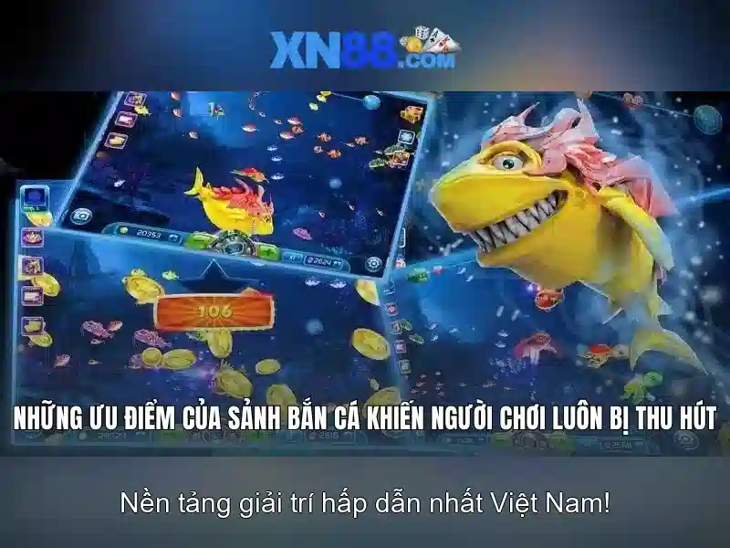 💎truy tố đánh bạc💎 💎truy tố đánh bạc💎