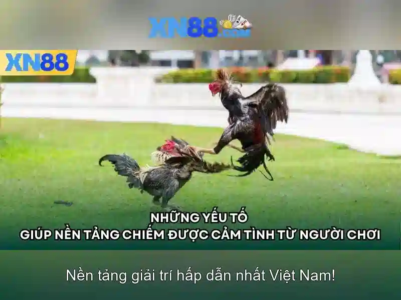 💎iba ge slot 00c8 v1365💎 💎iba ge slot 00c8 v1365💎