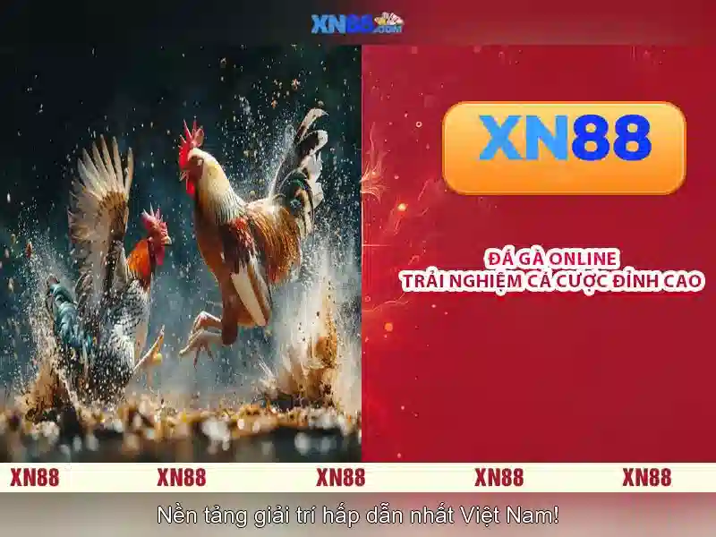 💎giá cá cược bóng đá tối nay💎 💎giá cá cược bóng đá tối nay💎