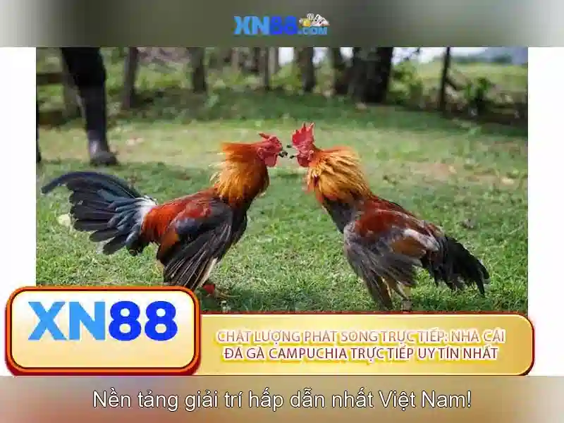 💎monster lab slot💎 💎monster lab slot💎