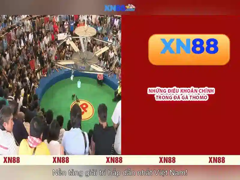 💎nitro 5 hdd slot💎 💎nitro 5 hdd slot💎