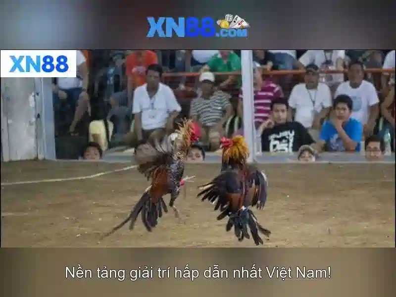 💎slot machines pictures💎 💎slot machines pictures💎